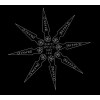 INANNA "Oeuvres Completes Tome I-XVI" 2xCD